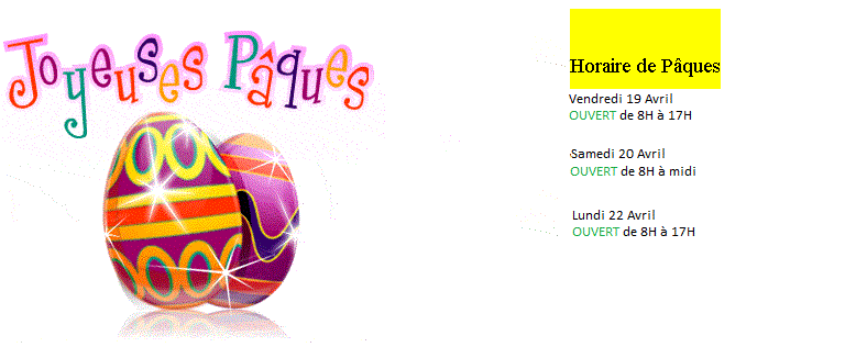 pro-mécanique horaire garage ouvert pâques