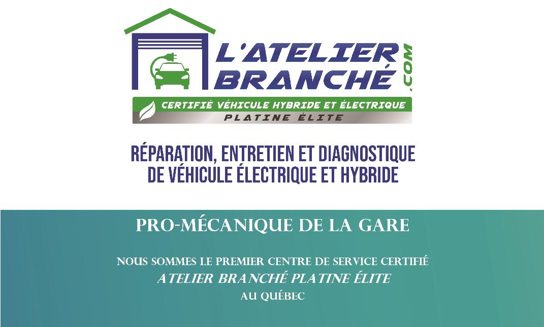 specialiste vehicule electrique