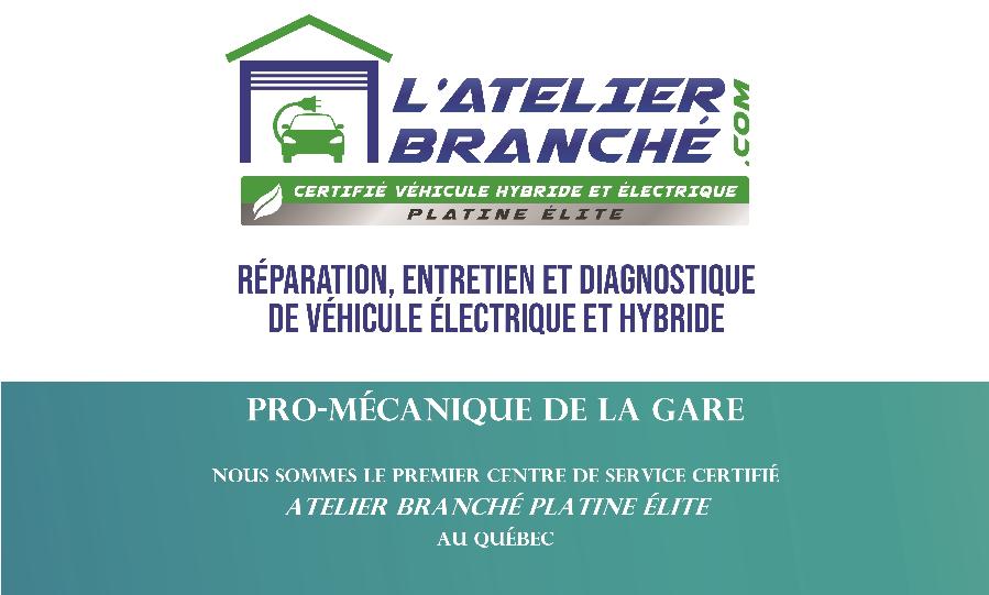 specialiste vehicule electrique
