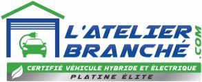 specialiste vehicule electrique